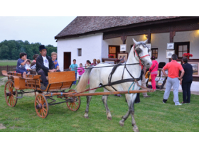 Kupinovo treći put na kulturnoj mapi Srbije